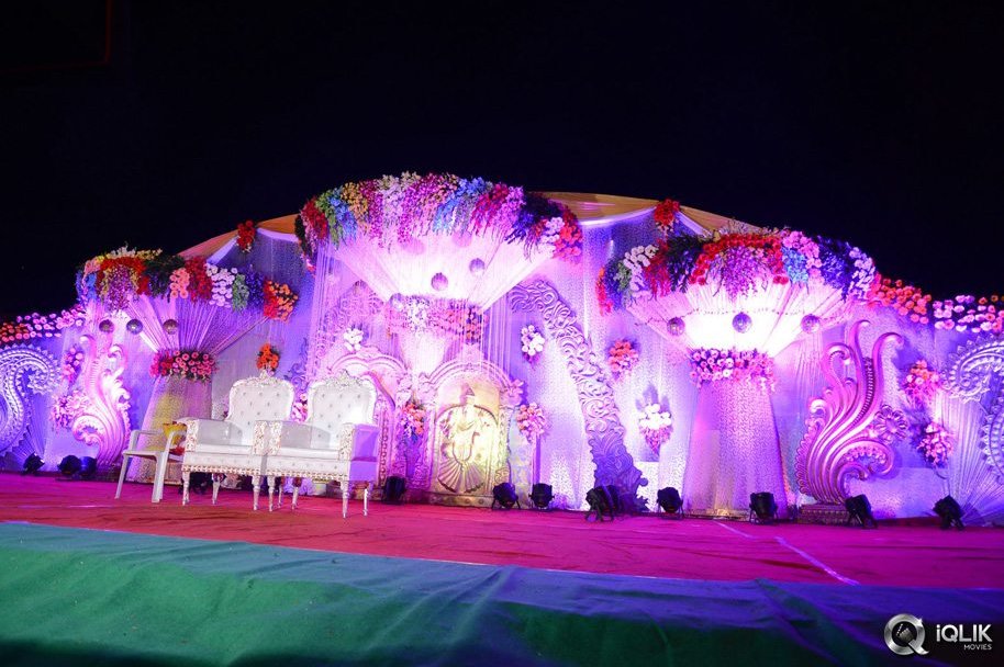 Celebs-at-Pratani-Ramakrishna-Goud-Son-Wedding-Reception